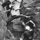Outdoor research parody of GQ rock climbing photos